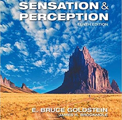 خرید کتاب زبان اصلی خرید کتاب از امازون amazon.com ، گوگل بوکز دانلود کتاب خارجی Sensation and Perception 10th Edition دانلود کتاب Sensation and Perception